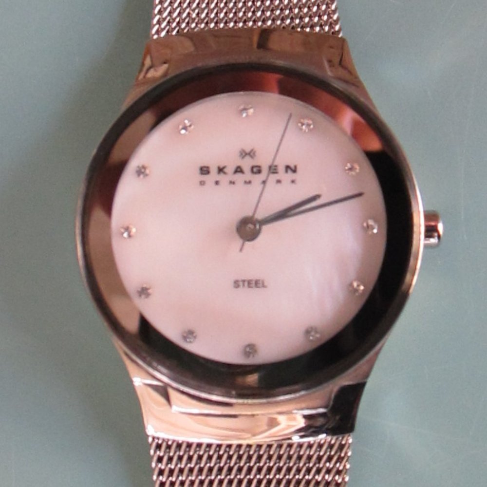 Woman's Skagen Denmark Steel Watch SKW2054